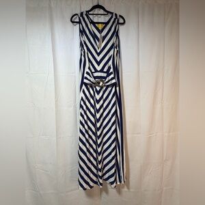 Liz Lange Navy and White Chevron Maxi Dress